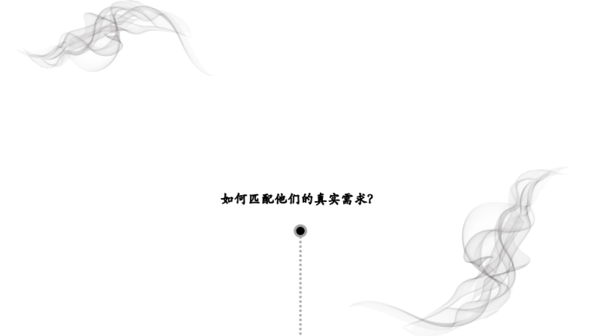 赛拉维项目形象塑造方案_第10页