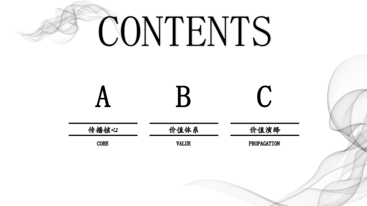 赛拉维项目形象塑造方案_第5页