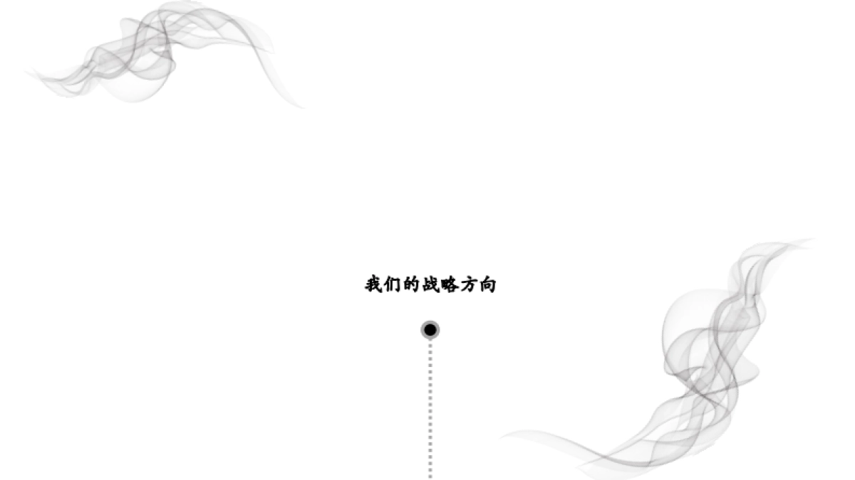 赛拉维项目形象塑造方案_第7页