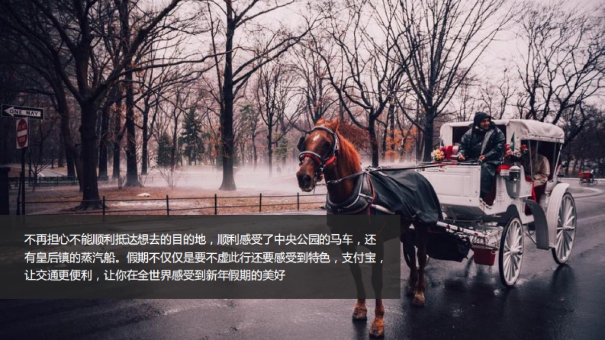 时趣互动-支付宝境外春节项目传播方案_第9页