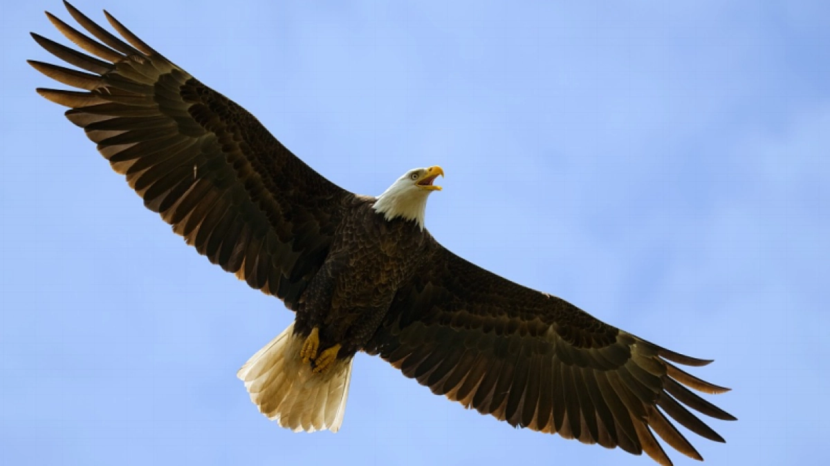 伟星万悦商业街推广案_第8页