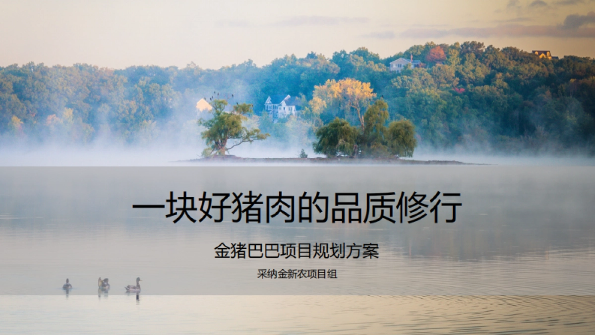 一块好猪肉的品质修行项目方案_第1页