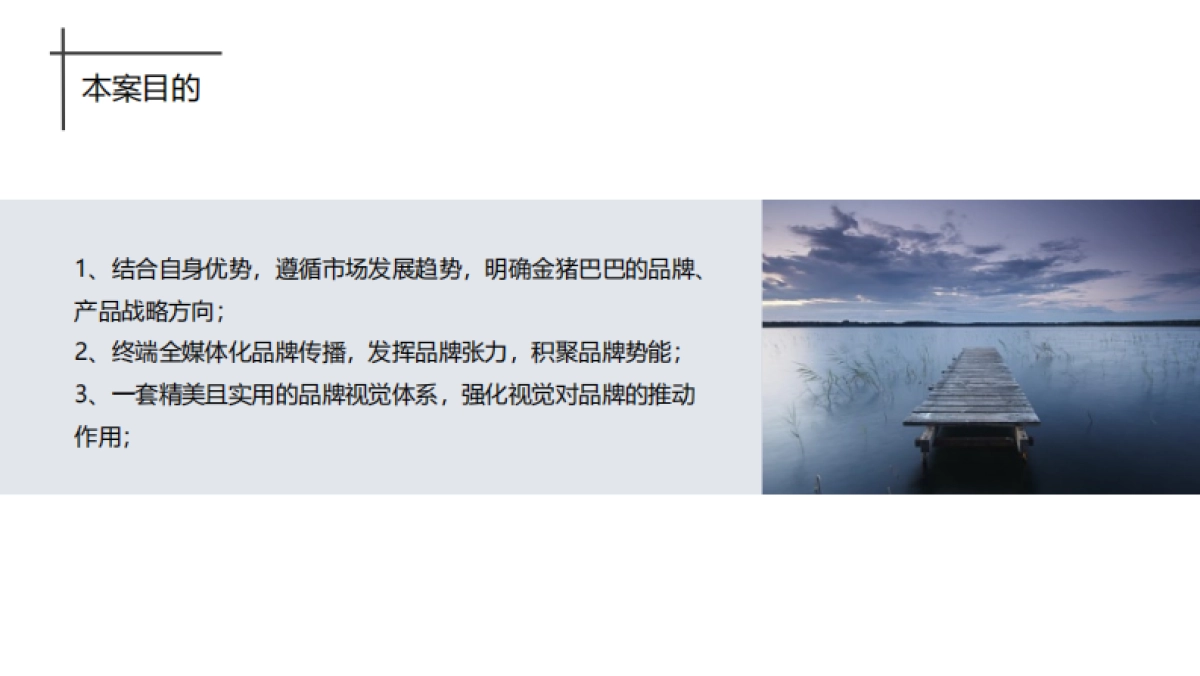 一块好猪肉的品质修行项目方案_第3页