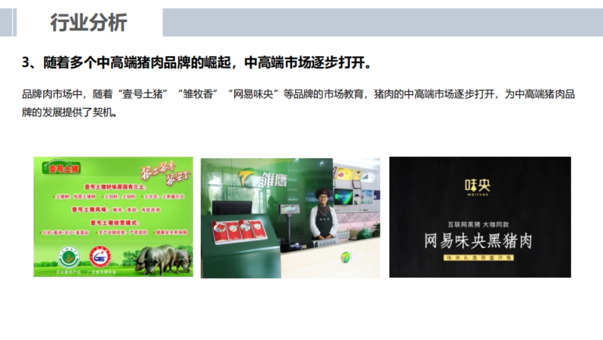 一块好猪肉的品质修行项目方案_第8页