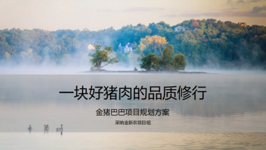 一块好猪肉的品质修行项目方案