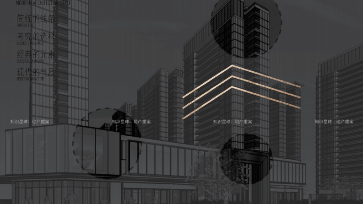 2020碧桂園太仓楼王凤凰帝宝-视觉推广提报_第5页