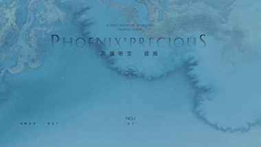 2020碧桂園太仓楼王凤凰帝宝-视觉推广提报