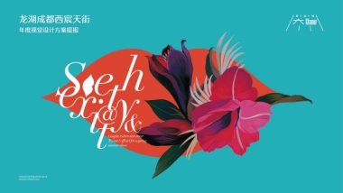 黒蚁设计-成都龙湖西宸天街年底推广方案