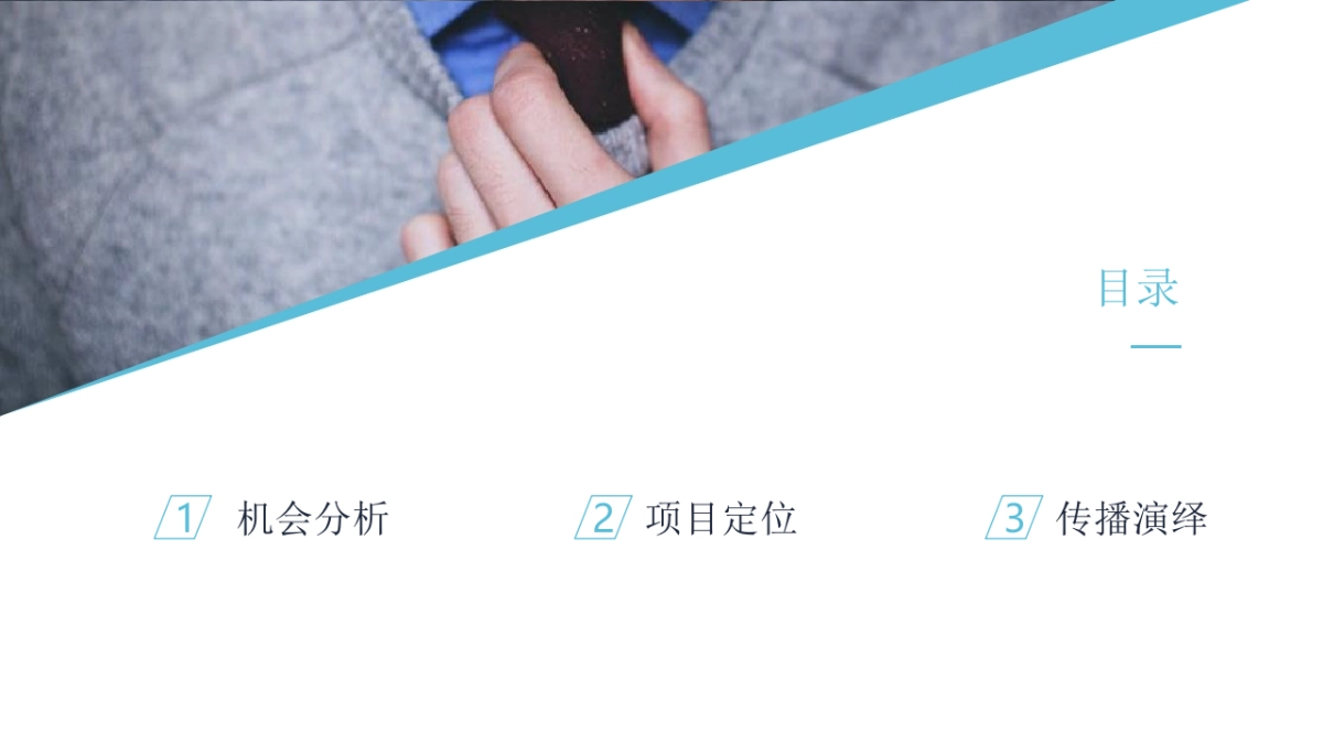 省广GIMC-奥园·誉峯（南海西樵项目）广告推广及设计方案_第2页