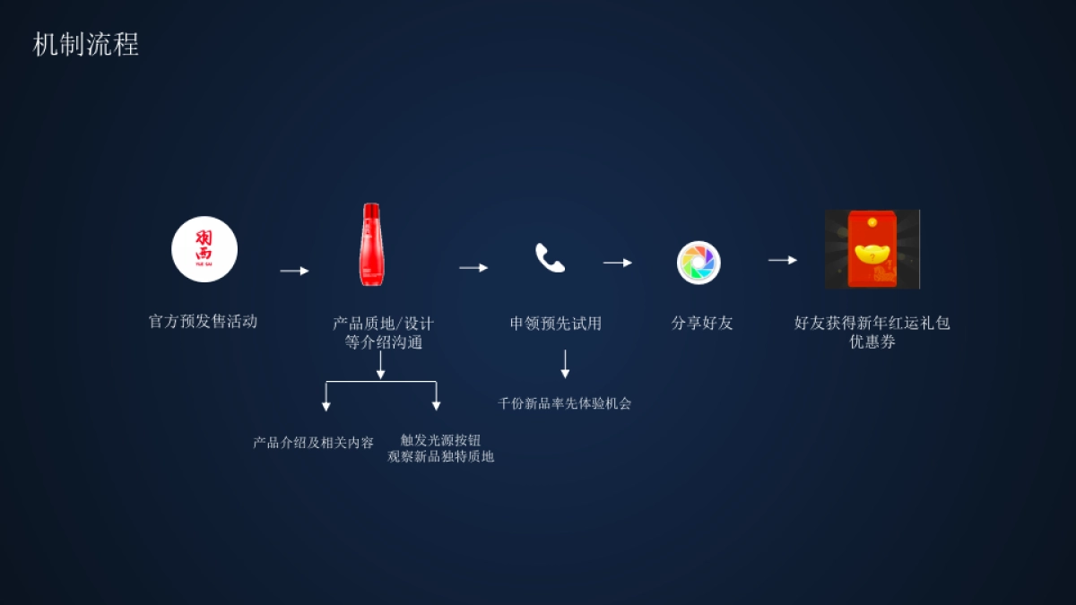 【Yue Sai】灵芝水感精华蜜露推广方案-0828-V2_第10页