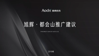 2019奥典广告-长沙旭辉都会山广告推广提案