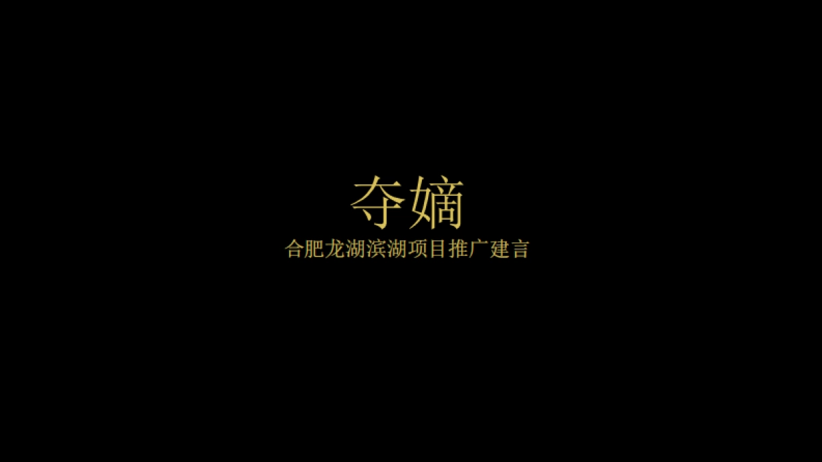 2019优点广告-九子夺嫡-合肥龙湖天权项目推广案_第1页
