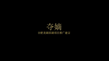 2019优点广告-九子夺嫡-合肥龙湖天权项目推广案