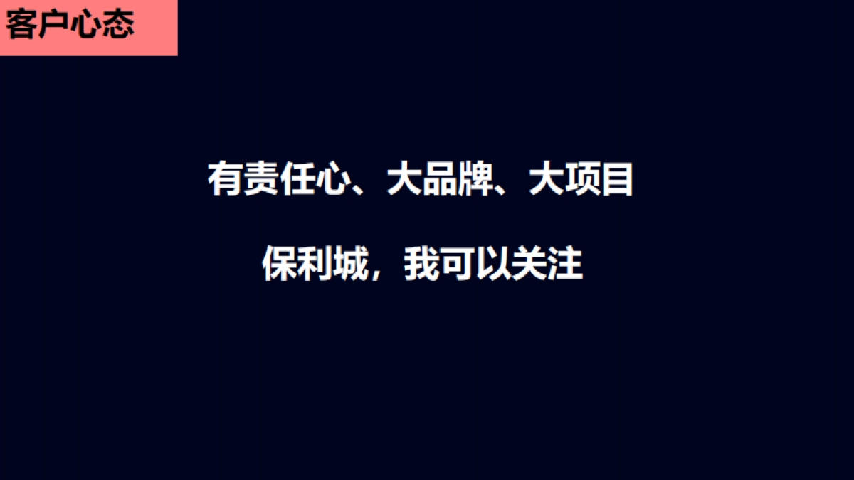 2020保利城开盘前推广案_第8页