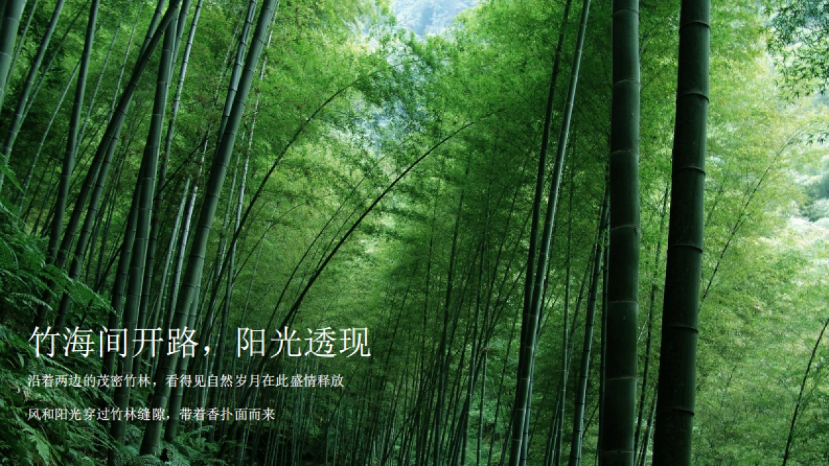 2020广州红蚁广告南山十二院文旅项目策略推广案_第9页