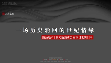 2020广州天机广告-路劲新天地酒店公寓推广竞标（豪宅）