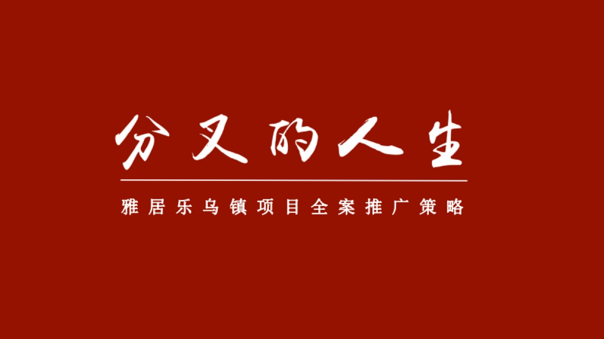 2020黑马雅居乐乌镇文旅项目全案推广策略_第2页