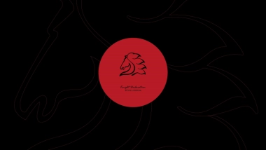 2020黑马雅居乐乌镇文旅项目全案推广策略