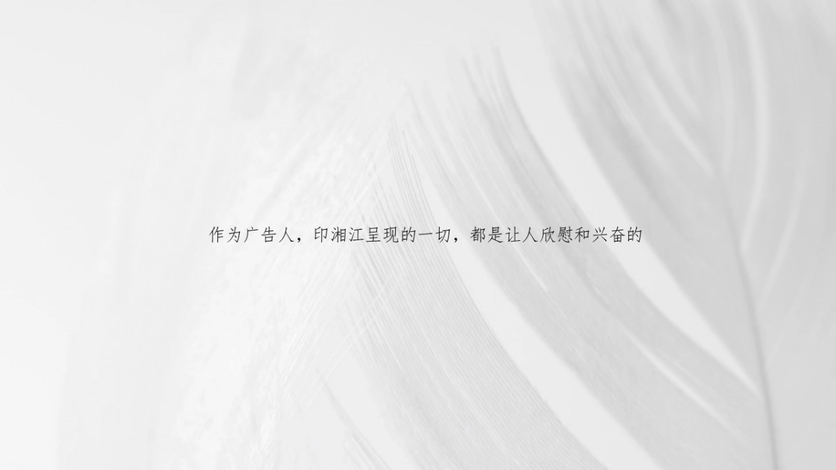 2020金铠广告-长沙印湘江项目推广策略提报_第2页