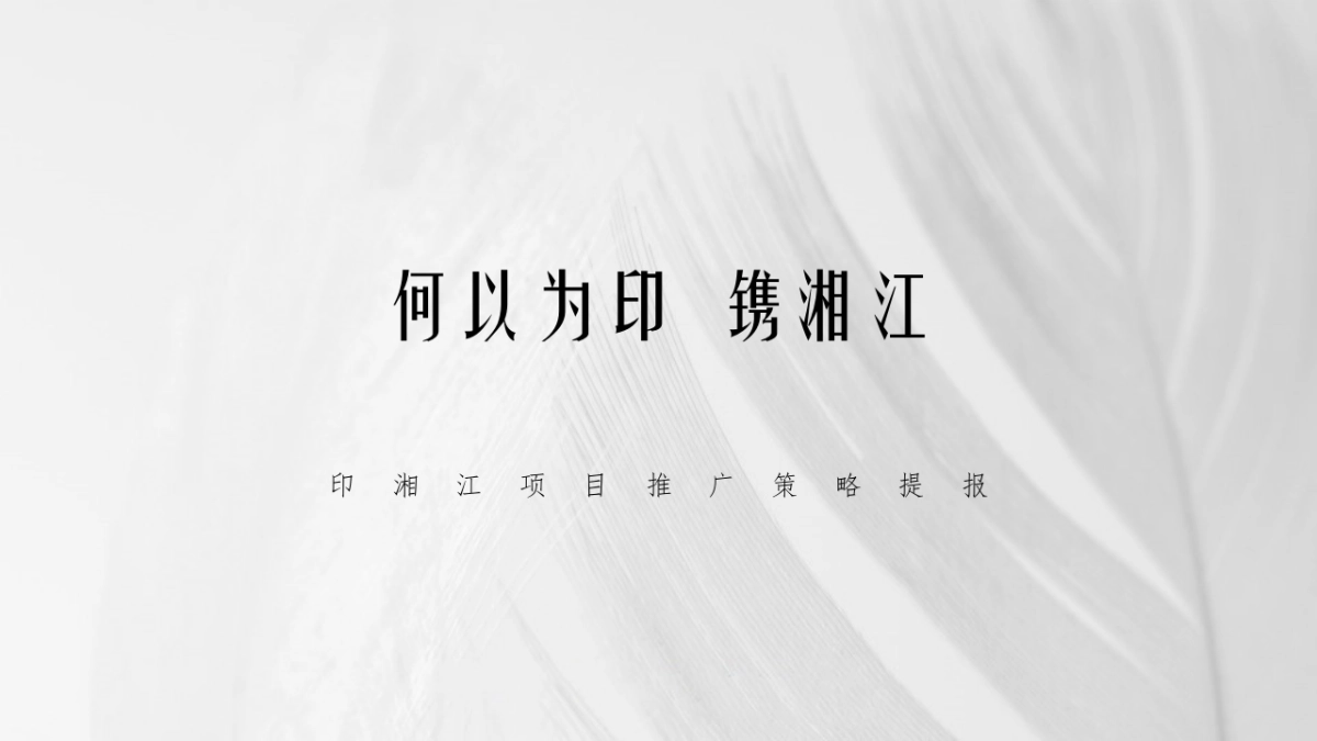 2020金铠广告-长沙印湘江项目推广策略提报_第5页