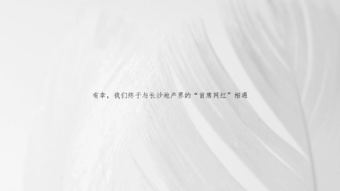 2020金铠广告-长沙印湘江项目推广策略提报