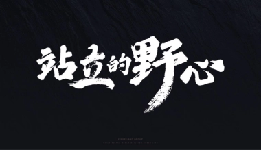 2020重庆江北嘴金融中心推广策略方案