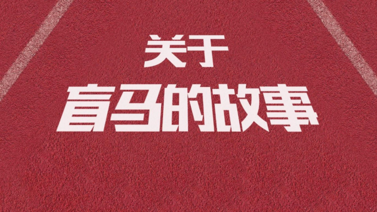 《盲马》电影企划推广案_第2页