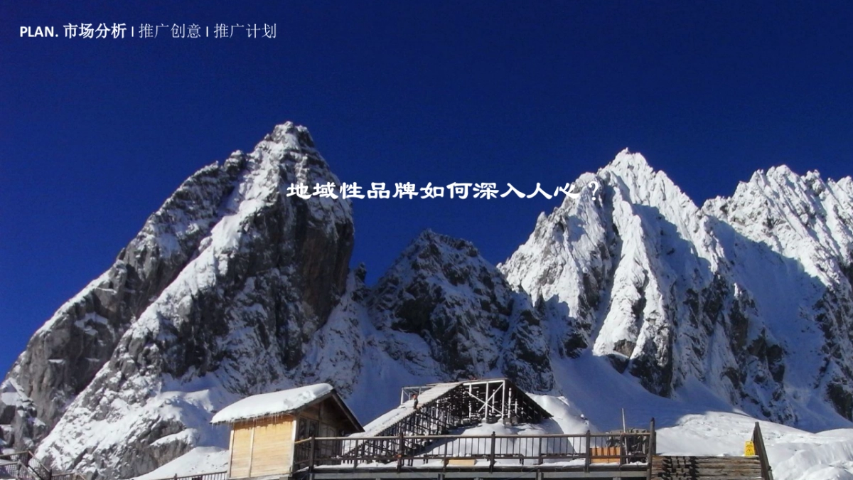 1664啤酒推广方案_第9页