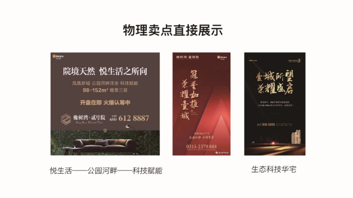 2020深圳青铜骑士-唐山融创壹号原著推广案_第8页