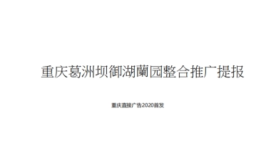 2020御湖兰园推广提案方案