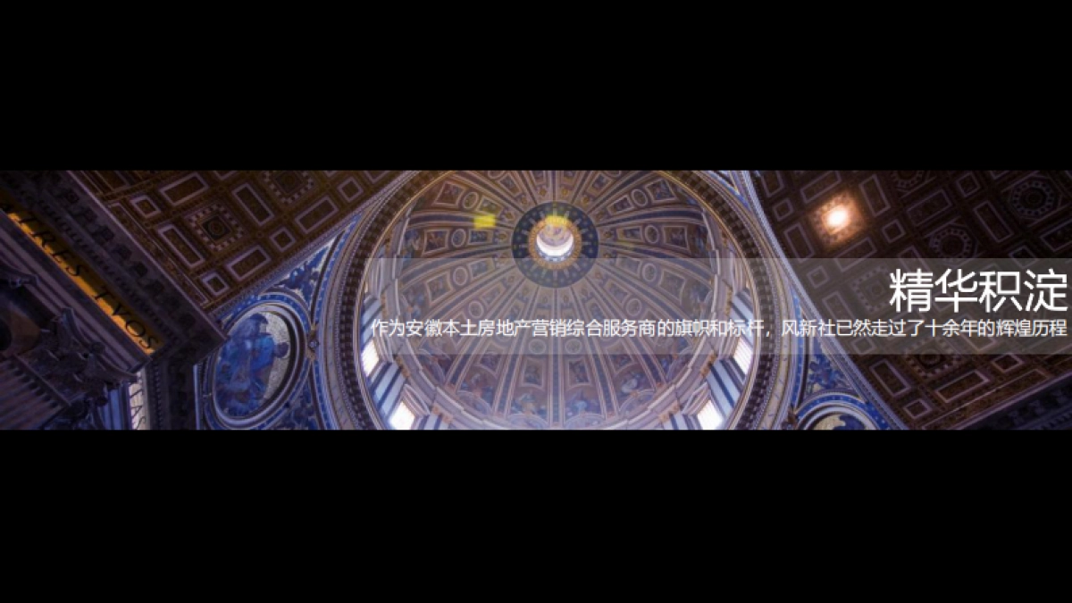 2020远洋万和云锦推广策略提报_第4页