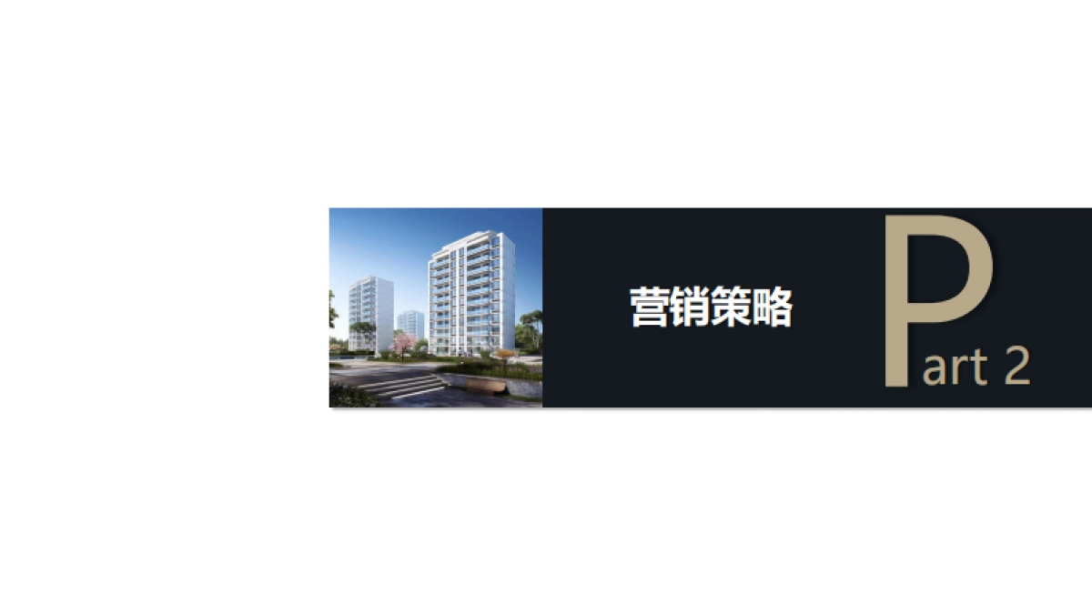 2021蓝光·未来天宸1月推广方案_第10页