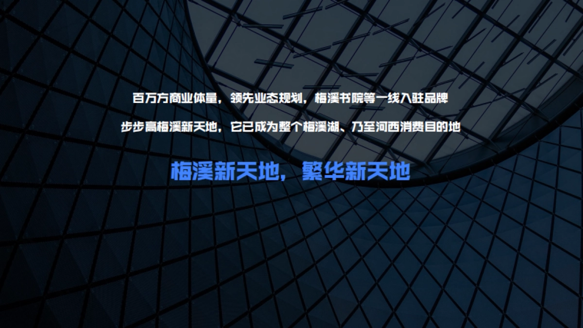 2022梅溪悦章推广思考方案_第10页