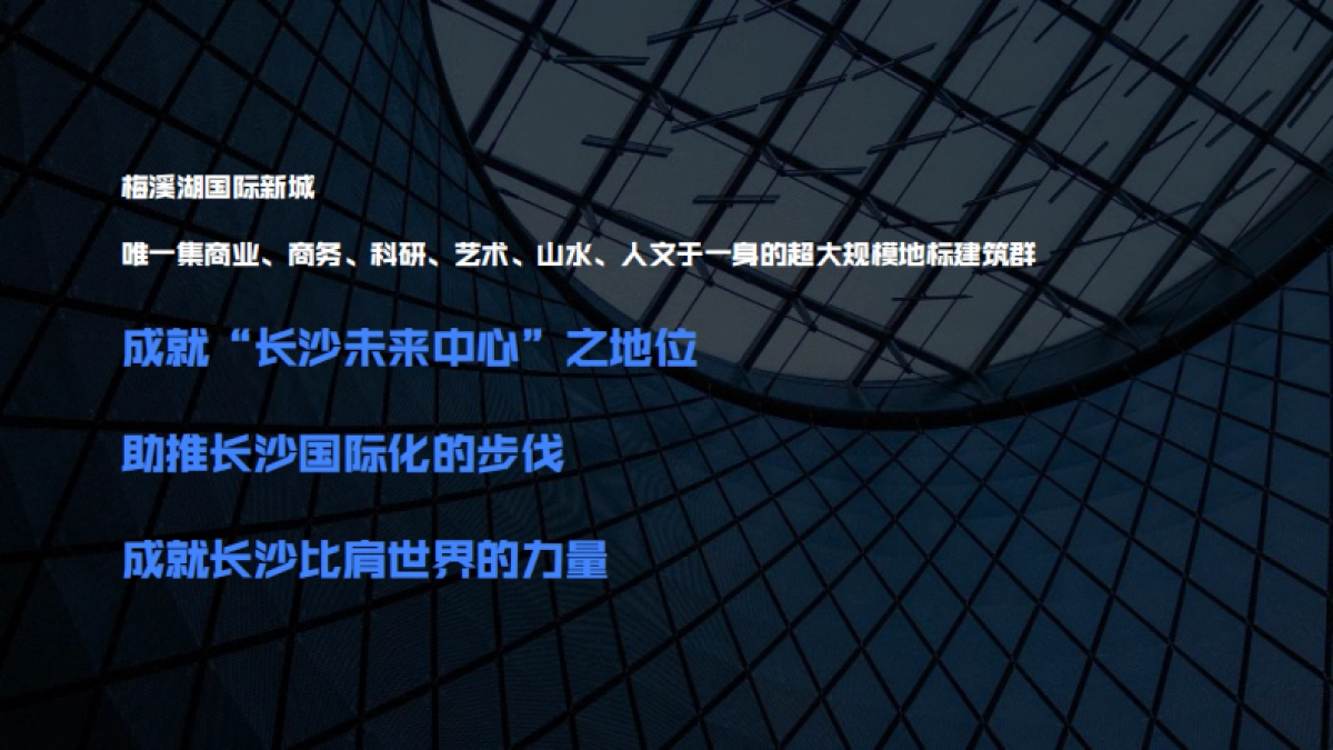 2022梅溪悦章推广思考方案_第2页