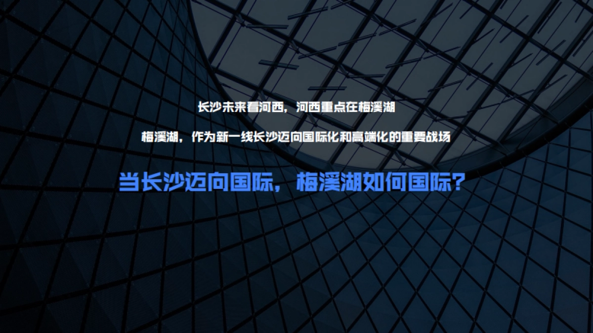 2022梅溪悦章推广思考方案_第3页