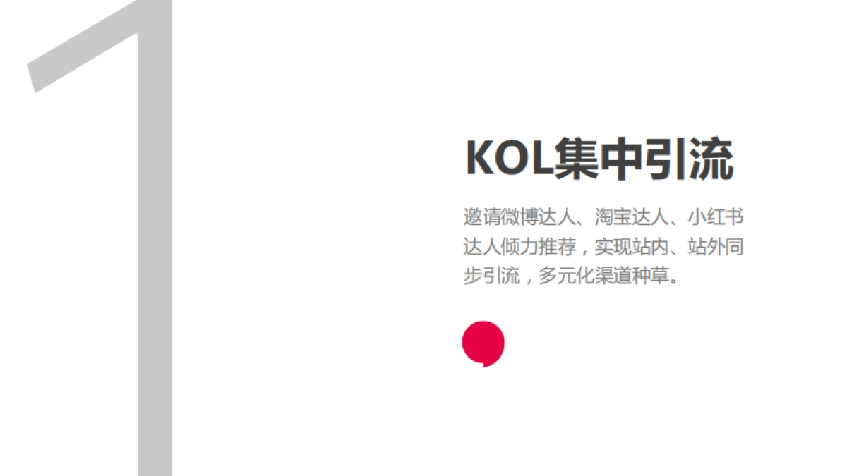 Heliocare开业全网营销推广结案报告_第5页