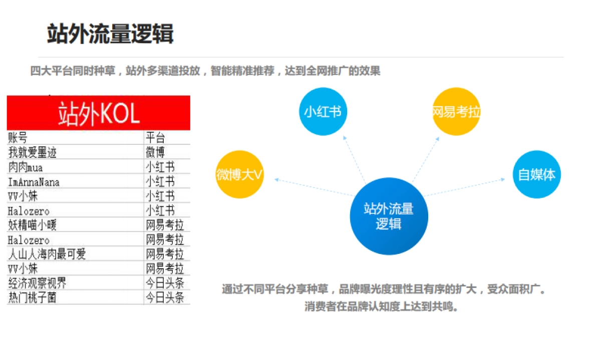 Heliocare开业全网营销推广结案报告_第7页