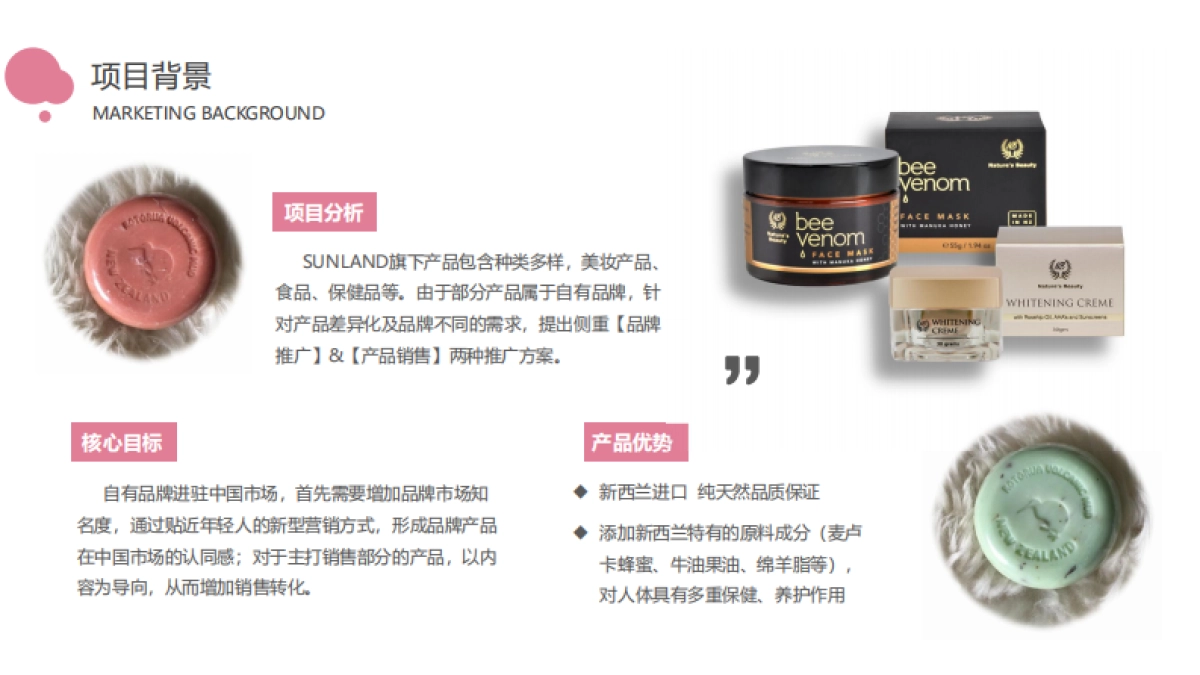 Sunland系列产品推广方案_第2页