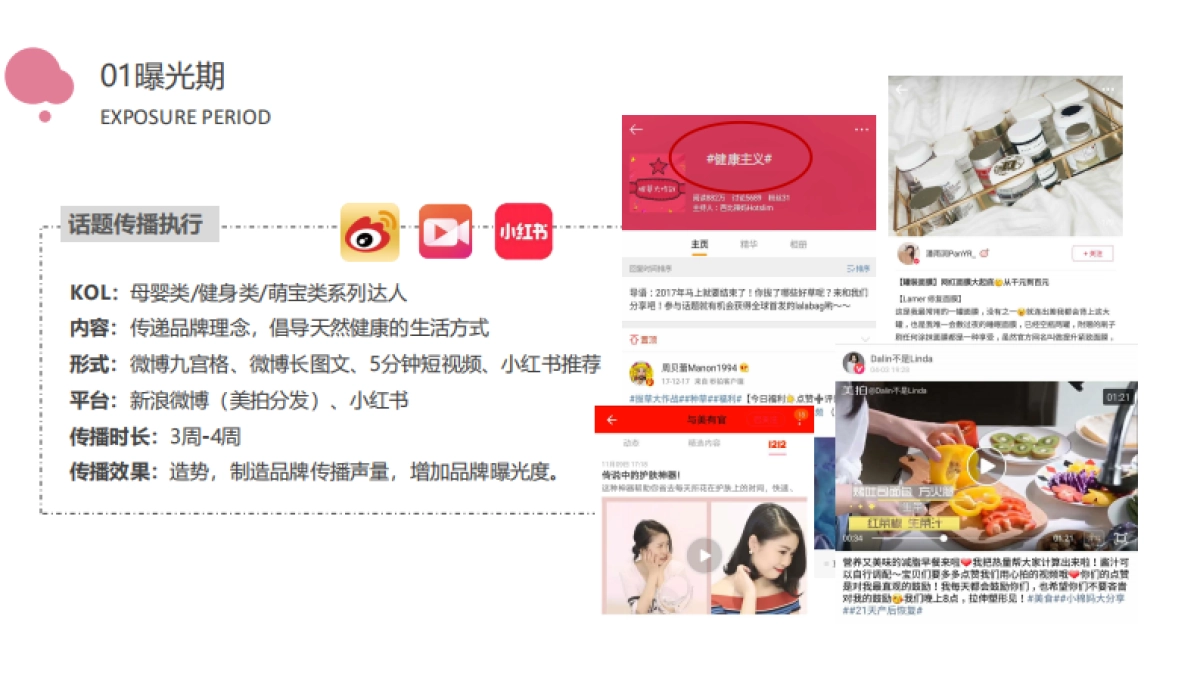 Sunland系列产品推广方案_第8页