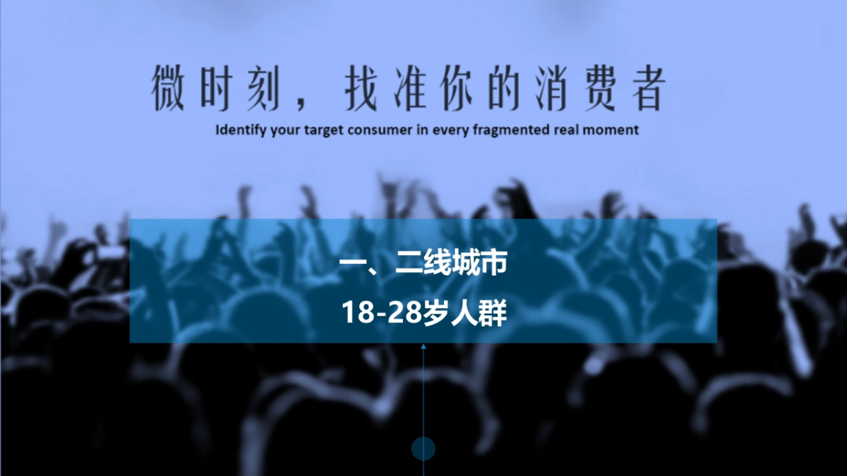 vivo手机人群分析及MV推广方案_第10页