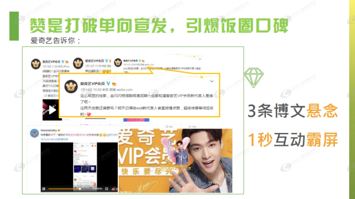 爱奇艺VIP会员微博营销推广结案_第9页