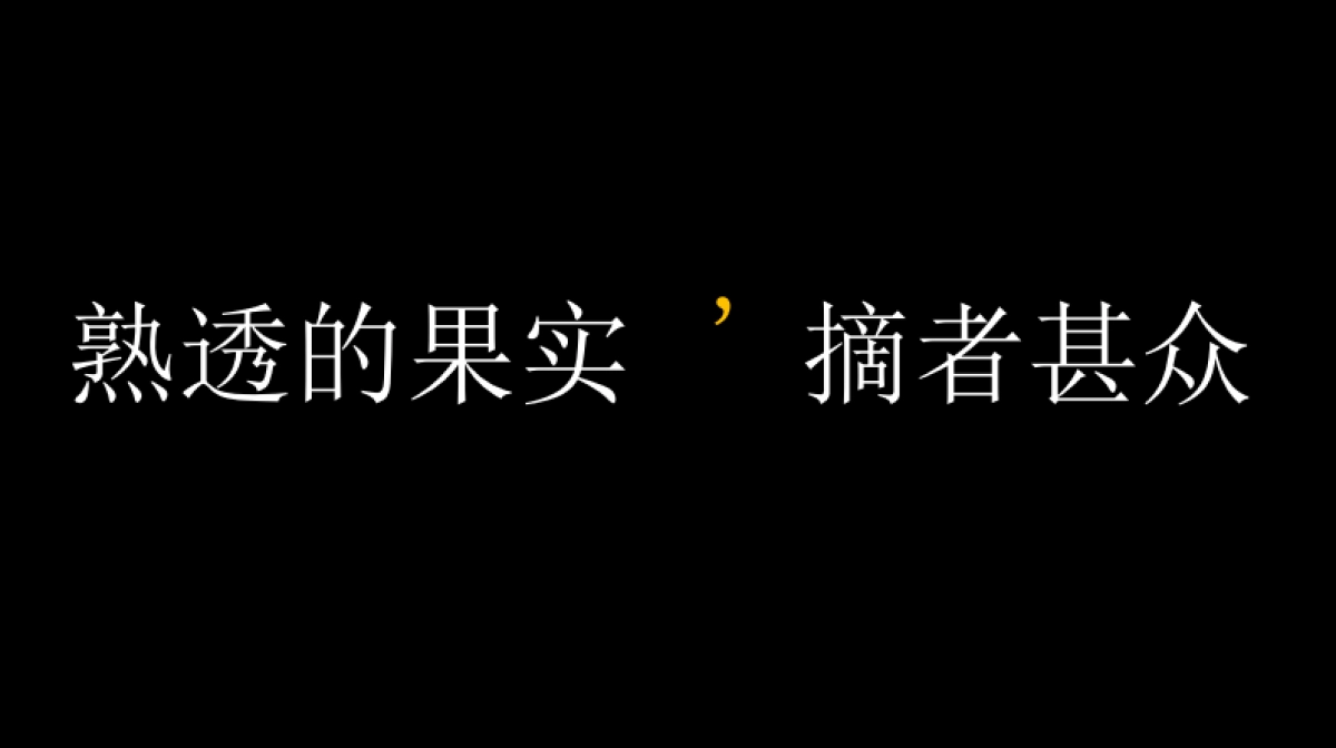 保利置业·天琴宇舍项目策划推广方案_第6页
