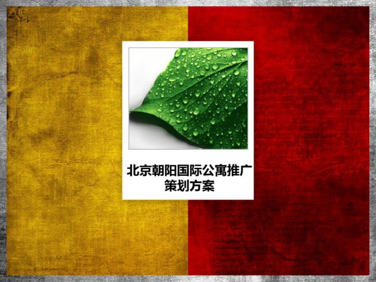 北京国际公寓推广的的策划的方案_第1页