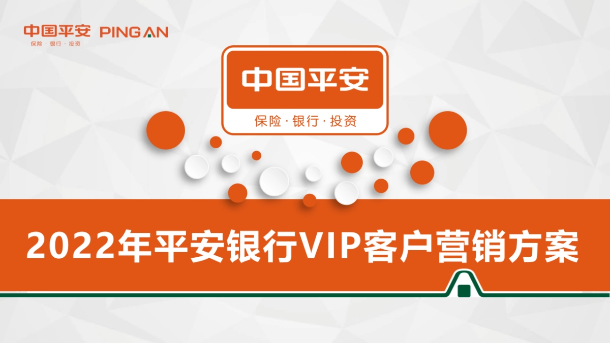中国平安银行金融VIP客户营销方案_第1页