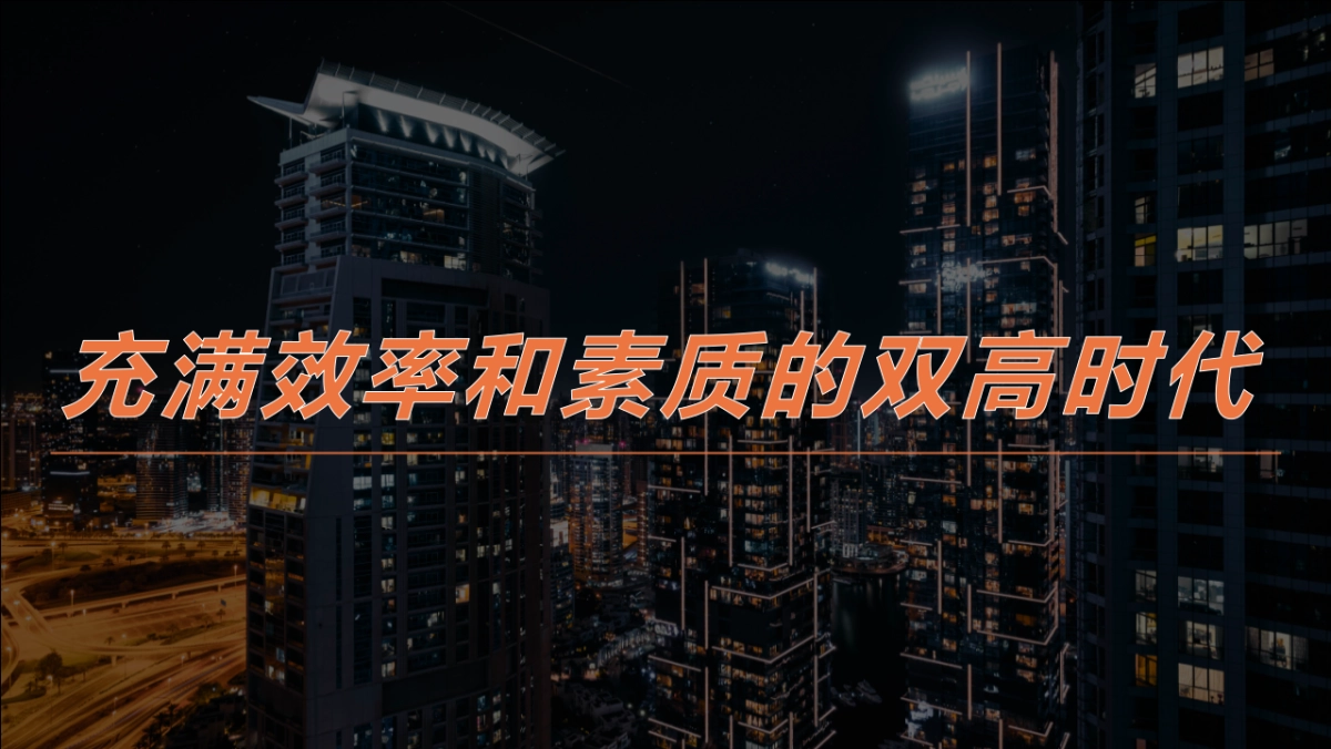 中国平安银行金融VIP客户营销方案_第2页