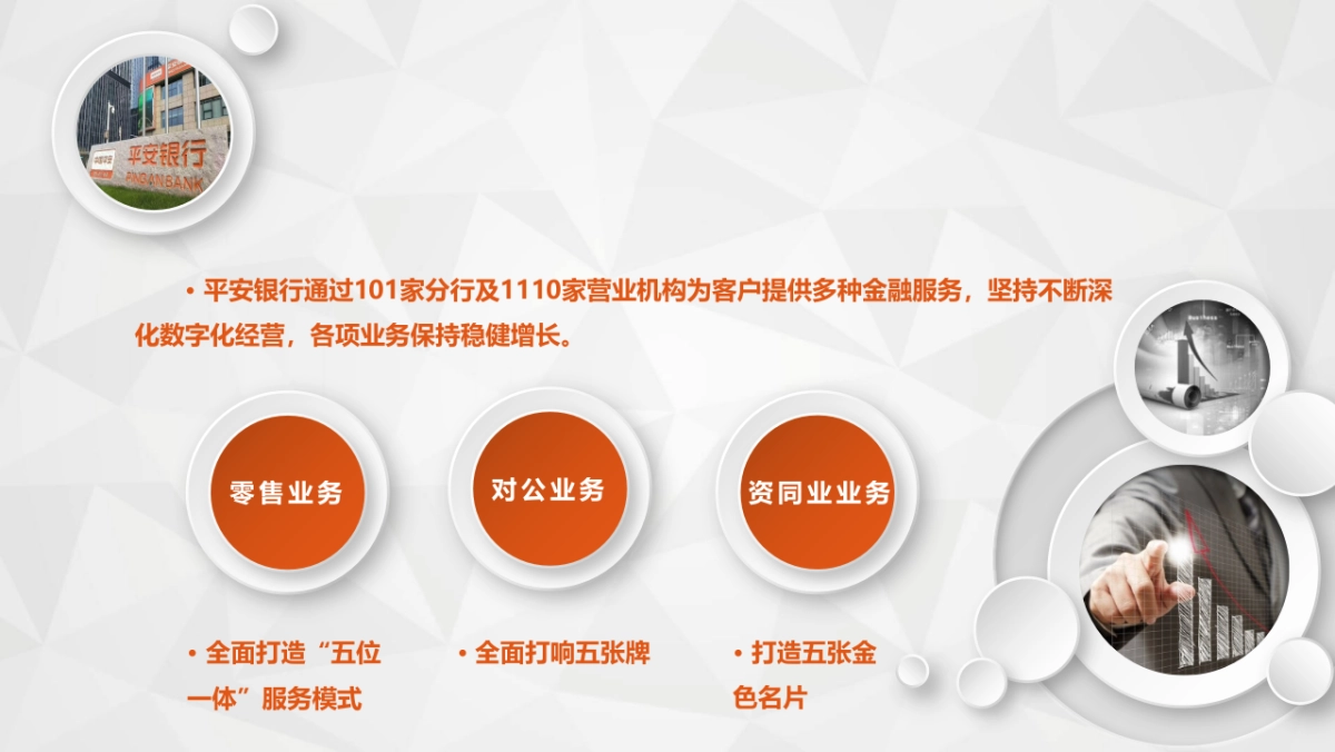 中国平安银行金融VIP客户营销方案_第3页