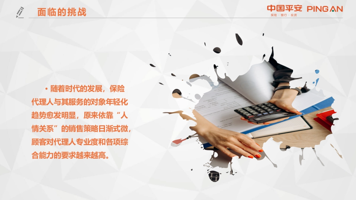 中国平安银行金融VIP客户营销方案_第4页