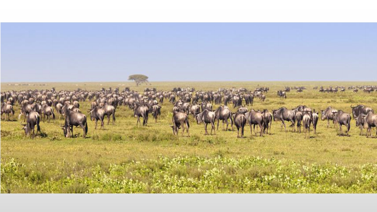 2022海悦西山文旅推广策略方案_第2页