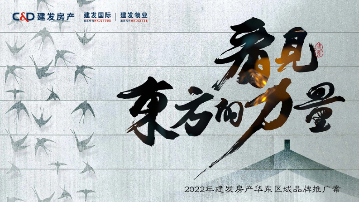 2022建发房产华东区域品牌推广方案_第2页