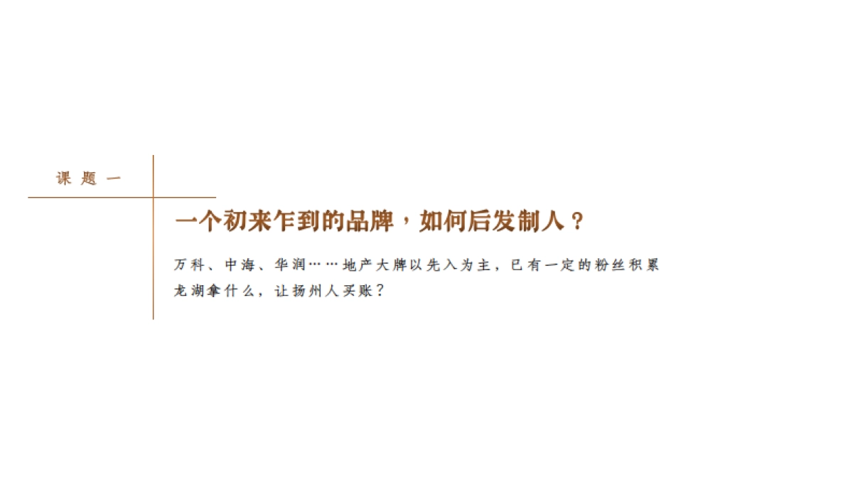 2022三湾公园项目广告提案方案_第3页